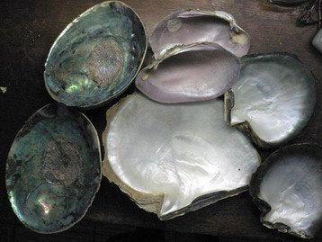 Gemstone Spotlight: Mother of Pearl