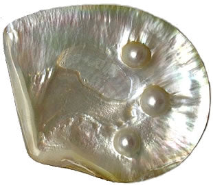 Gemstone Spotlight: White Mabe Pearl